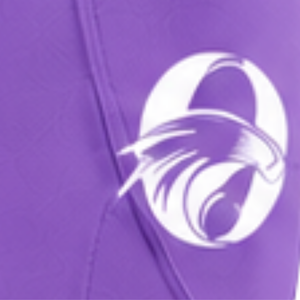 Leggings d'équitation pour femmes violet vif, taille haute, extensibles, avec grip en silicone intégral, pour l'équitation et le sport - Product Image 6