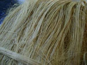 Fibra de plátano 100% natural extraída del pseudostelo del plátano para la fabricación de textiles, cuerdas, alfombras y artesanías. - Product Image 4