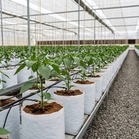 Organische Coco Peat kweekzakjes van plastic materiaal voor hydroponische landbouw, herbruikbaar, milieuvriendelijk, zwart.
