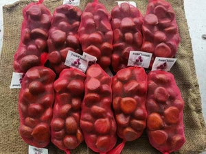 Proveedor de <span class=keywords><strong>Castañas</strong></span> Frescas de Alta Calidad, Grado A, Vegetales Frescos, Empaque a Granel para Exportación - Product Image 3