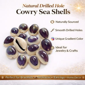 เปลือกหอยโข่งเจาะรูธรรมชาติสำหรับทำเครื่องประดับ งานฝีมือ ตกแต่ง สร้อยข้อมือ สร้อยคอ ขายส่งจำนวนมาก - Product Image 6