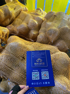 มะพร้าวปอกเปลือกแบบเป็นมิตรต่อสิ่งแวดล้อม ขายดี - น้ำมะพร้าวบริสุทธิ์ ชุ่มชื้น อุดมด้วยกรดไขมัน และสดใหม่ สำหรับส่งออกจำนวนมาก - Product Image 5