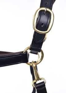 Licol Anatomique Rembourré en Kraft Équestre de Qualité Supérieure Élégant Équipement en Cuir et Nylon Anglais avec Surpiqûres Fantaisie Écologique pour Cheval - Product Image 2