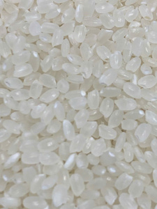 ข้าวญี่ปุ่นสั้นเมล็ดกลมสีขาว คุณภาพระดับร้านอาหาร ปลอดจีเอ็มโอ หัก 5% ข้าวซูชิเมล็ดสั้น ผลผลิตใหม่ปี 2026 ต้นกำเนิดจากเวียดนาม - Product Image 2