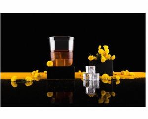 Ensemble de 6 verres à eau en ABS de 250 ml, anti-fuite, design moderne, pour hôtels et restaurants, fabricant indien, meilleur prix - Product Image 2