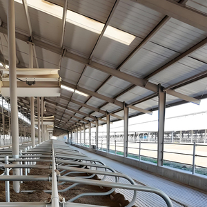 Struttura Prefabbricata in Acciaio Personalizzata per Allevamento Suini, Design di Edifici Agricoli per Bovini, Capre, Mucche, Polli, Cavalli, Stalle - Product Image 6