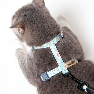 Resistente Pettorina e Guinzaglio per Gatti Radi Claw con Cavo, Set per Animali Domestici - Product Image 5