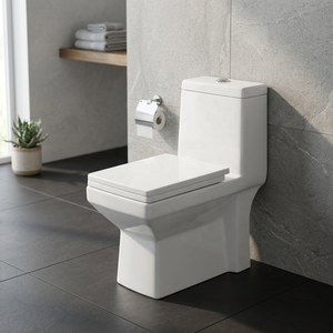WC monobloc en céramique de haute qualité avec chasse d'eau automatique et réservoir encastré pour projets de salles de bain modernes - Product Image 1