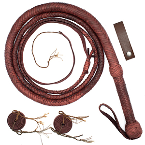 Sairex Látigo de Caballo de Nylon Negro Reforzado de 06 a 16 Pies con 16 Trenzas, Estilo Moderno WP-1101 - Product Image 1