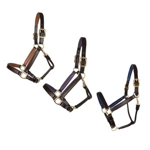 High Quality Handmade 100% Grain Leather <b>Halter</b> with Customizable Design Silver Fittings Assorted Colors for Horse Riding Shows - Product Image 4
