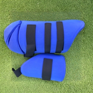 Protections de cuisse de cricket pour jeunes, haute protection, Thai Pads, équipement de sécurité pour le cricket - Product Image 3