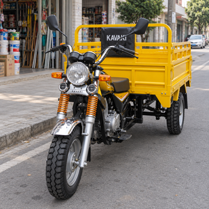 Triciclo Motorizado de Carrocería Abierta de 200-300cc, a Gasolina, Bajo Consumo para Recados Diarios - Product Image 5