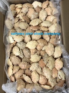 Premium Dried <b>Crab</b> <b>Shell</b> for Stuffing & Decoration - Product Image 6