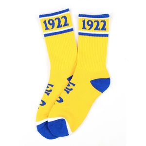 Chaussettes Sigma Gamma Rho Or et Bleu Royal, Chaussettes de Sport Athlétiques, Chaussettes Décontractées pour Équipes, Vêtements Personnalisés OEM ODM Vente en Gros - Product Image 1