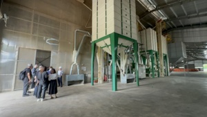 Café Arábica Vietnamita de Alta Calidad, Tostado y Limpio, Proceso de Lavado Completo, Sabor Afrutado, de Son La, a Buen Precio - Product Image 6