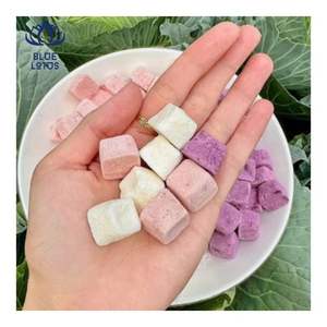 Yogourts en bouchées les plus vendus – Yogourts moelleux pour collations et garnitures de desserts, parfaits pour les coupes de yogourt et la crème glacée - Product Image 6