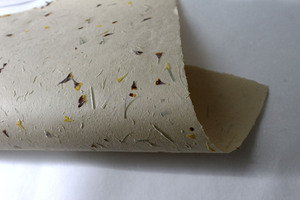 Feuilles de papier de jardin ivoire 80 GSM pour l'art et l'artisanat, pétales de fleurs et herbe hachée fine, compatibles sérigraphie, en pâte de cellulose - Product Image 6