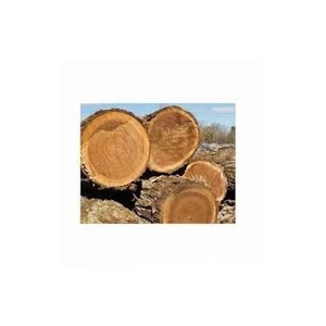 Bûches rondes en bois d'épicéa au prix de gros 100% Bûches en bois pur Bois de teck/Bûches de chêne/Bûches de pin - Product Image 1