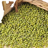 Haricots Verts Entiers Séchés de Qualité Supérieure, Légumineuses Naturelles Riches en Protéines pour la Cuisine KYAARI FOODS, Approvisionnement en Vrac 50kg