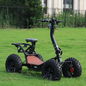 High Tier Hioev 4-<b>Wheel</b> Electric Mobility Scooter with Aluminum Frame 3-Year Warranty DIY Customization <b>Plastic</b> Handle - Product Image 1