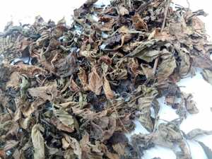 ใบหญ้าดำแห้งขายส่ง เมโซนา ไชนีเซนส์ สำหรับอุตสาหกรรมอาหารและเครื่องดื่ม ราคาดีที่สุดสำหรับธุรกิจระหว่างประเทศ - Product Image 4