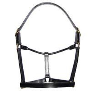 Harnais d'équitation de style western en cuir de qualité supérieure - Couleur et logo personnalisables, taille adaptable, fabrication artisanale, qualité excellente - Product Image 1