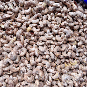 Cheap Bulk Ready To Ship Cashew <b>Nuts</b> WW180, WW240, WW320, LP, WS Cashew Cashew Price Vietnam Low MOQ - Product Image 1