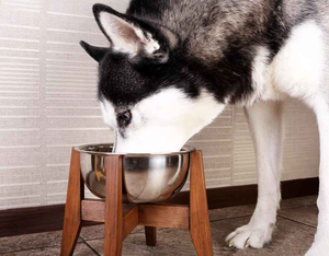 Tazón de Madera Resistente para Mascotas con Base de Goma Antideslizante para Alimentar a las Mascotas, Contiene Comida y Agua - Product Image 1