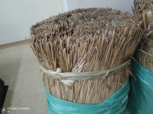 หญ้าทะเลแห้งธรรมชาติ ยาว 1.7 เมตร แบบเกลียว ขนาด 40 นิ้ว สำหรับเฟอร์นิเจอร์และการสาน ขายส่ง ราคาแข่งขัน 27 ANGLE - Product Image 5