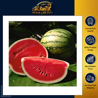 Premium verse rode watermeloen, natuurlijk zoet en sappig fruit, kwaliteit A voor groothandel en export.