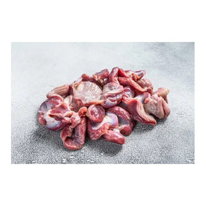 Gizzards de poulet halal surgelés de qualité supérieure, congélation IQF, emballage en vrac, durée de conservation de 2 ans - Product Image 4