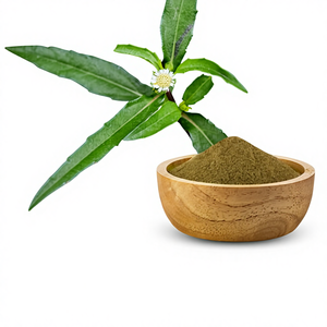 Poudre de Bhringraj de qualité supérieure, poudre de Bhringraj naturelle à base de plantes pour la croissance des cheveux, l'épaississement, la force et le soutien de la santé du cuir chevelu - Product Image 3