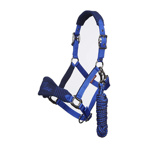 Licol pour cheval avec longe, haute qualité, équestre, en PP, taille personnalisable, confortable pour l'équitation, vente chaude - Product Image 1