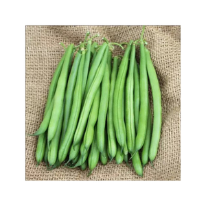Guisantes Verdes Orgánicos de la Mejor Calidad, Secos y Enteros, de Tailandia, Venta al por Mayor, Precio Inmejorable - Product Image 2