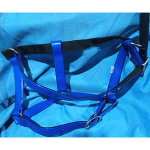 À VENDRE PVC SANGLE CHEVAL AVEC RACCORD ROUILLANT POUR ÉQUITATION ARABE COULEUR BLEU EN DOLLAR 4 CARTE DE CRÉDIT ACCEPTÉE - Product Image 2
