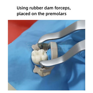 Kit de Abrazaderas de Goma de Alta Calidad, Kit de Abrazaderas de Goma Premium, Kit de Abrazaderas de Goma Más Vendido, Hecho en Pakistán - Product Image 3