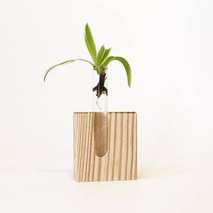 Jarrón de Madera Maciza Orgánica Hecho a Mano en India, Diseño Moderno de Estilo Rústico, para Arreglos Florales, Decoración de Sala de Estar, Uso Decorativo, Natural - Product Image 3