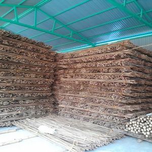 Poteaux en bambou brut très demandés pour le soutien des plantes agricoles et la construction - Product Image 5