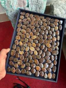 Natural Ammonite Oval Cabochons Polished Organic Gemstones For Jewelry Making Brown Loose Stones By MAHNAJ GEMS , JAIPUR RAJASTH - Product Image 2