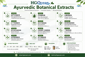 โรงงาน HGO จัดหาสารสกัดบราห์มีโดยตรง (Bacopa monnieri (L.) Wettst.) เกรดอาหาร 4:1 5:1 10:1 20:1 100:1 200:1 (อัตราส่วนสารสกัด) - Product Image 2