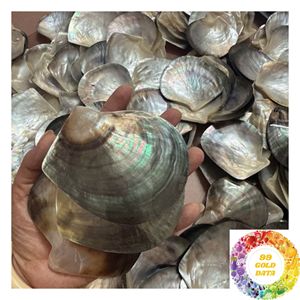แผ่นเปลือกหอยมุกธรรมชาติสีรุ้ง สำหรับงานฝีมือทำมือ เครื่องประดับ ของตกแต่งบ้าน และงานสร้างสรรค์ - Product Image 1