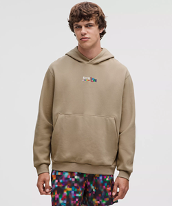 Sweat à capuche unisexe en molleton 100% coton, coupe classique, logo personnalisé, brodé, coupe ample, OEM, automne, Steady State Pride - Product Image 1