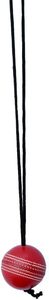 Willow Cricket Hanging <b>Ball</b> for <b>Bat</b> Knocking and Practice, 1 Hard <b>Ball</b> BY NAQQASH SPORTS - Product Image 2