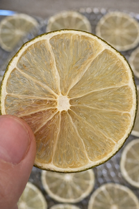 NATURAL DRIED LIME SLICED/ SUN DRIED CITRUS/ SUITABLE FOR CLEAN LABEL <b>INFUSION</b> <b>TEA</b> PRODUCTS AND ORGANIC FOOD EXPORTERS/MS. ALINA - Product Image 5