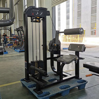 Equipo de Gimnasio Comercial para Entrenamiento de Fuerza y Culturismo: Máquina de Extensión de Espalda con Selector de Peso y Carga de Placas