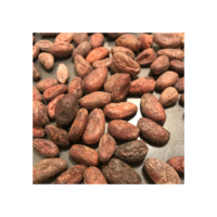 Fèves de cacao naturelles préparées pour la fabrication alimentaire à grande échelle