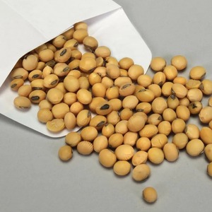 Gama de Alimentos Deshidratados Orgánicos, Incluyendo Soja Común Seca Preparada con Manipulación Segura, Empaque a Granel para Compradores con Gran Demanda - Product Image 1