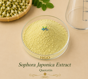 Suministro directo de fábrica HGO extracto puro natural de Sophora Japonica (grado alimenticio) Especificación quercetina 90% (extracto estandarizado) - Product Image 1