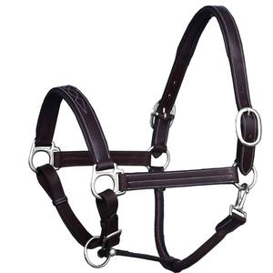 Harnais en cuir de qualité supérieure pour la vente en gros, fabricant de matériel d'équitation, taille personnalisée, sport, extérieur, équitation - Product Image 2