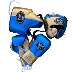 Prix de gros RTS, qualité supérieure, ensemble de boxe No Boxing No Life, cuir véritable, ensemble d'entraînement et de combat professionnel AS-SP-02 - Product Image 1